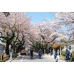公園