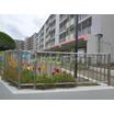 幼稚園、保育園