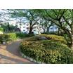 公園