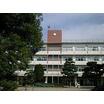 小学校