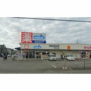 ウエルシア静岡上足洗店