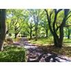 公園