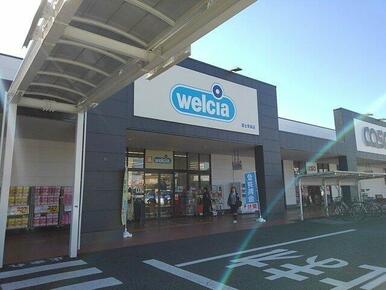 ウエルシア　青島店まで650m