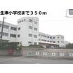 周辺環境