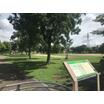 公園