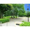 公園