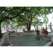 公園
