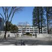 大学