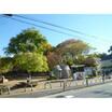 公園