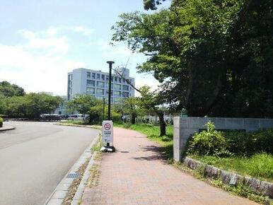 山梨大学医学部