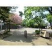 公園