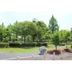 公園