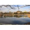 公園