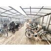 共有部分
