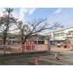 幼稚園、保育園