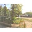 公園