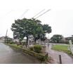 公園