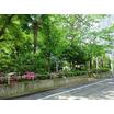 公園