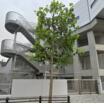 中学校