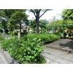 公園
