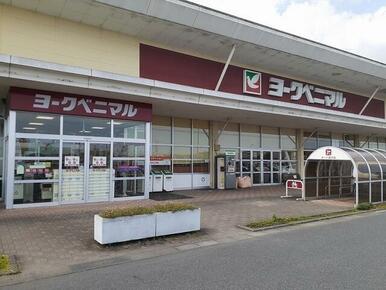 ヨークベニマル中郷店