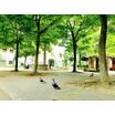 公園