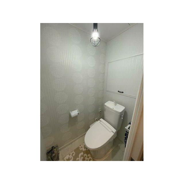 落ち着いた色調のトイレです（令和元年７月新品交換済み?）。