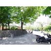 公園