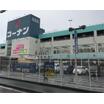 販売店