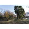 公園