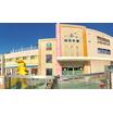 幼稚園、保育園