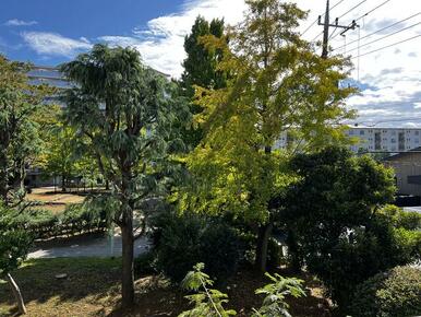 緑豊かな公園に面した前面棟の無い眺望