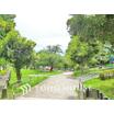 公園