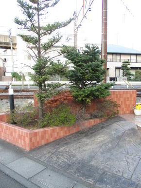 植栽