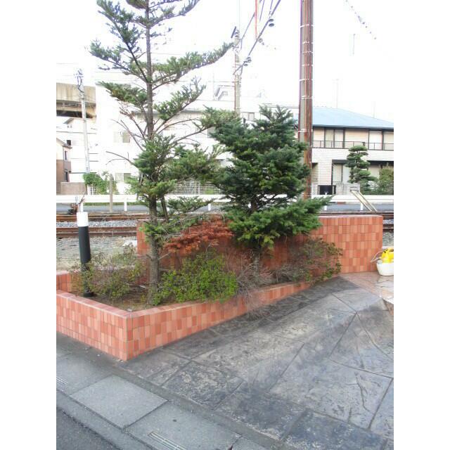 植栽