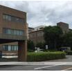 大学