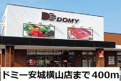 ドミー安城横山店
