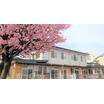 幼稚園、保育園