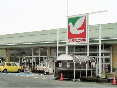 ヨークベニマル　南館店