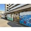 幼稚園、保育園