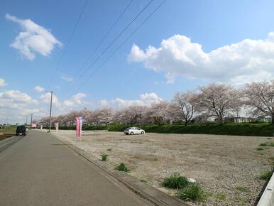 ★南側は新河岸川の桜並木！春には満開の桜をお楽しみください。