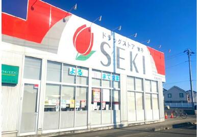 ドラッグストアセキ岩槻本宿店