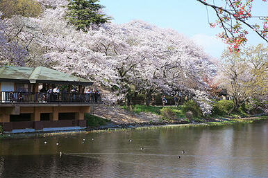 三ツ池公園