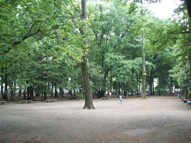 森林公園