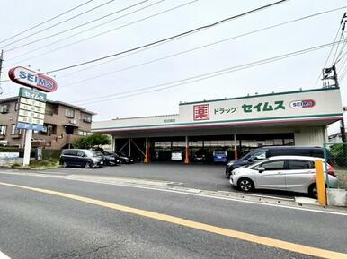 ドラッグセイムス南川崎店：約250ｍ