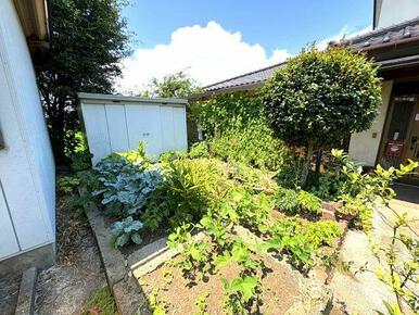 家庭菜園もできるお庭付きです