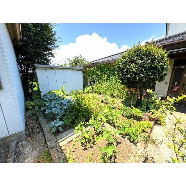 家庭菜園もできるお庭付きです