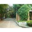 公園