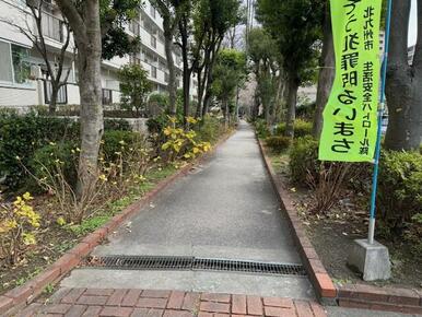 マンション横に原町緑道という遊歩道があります。