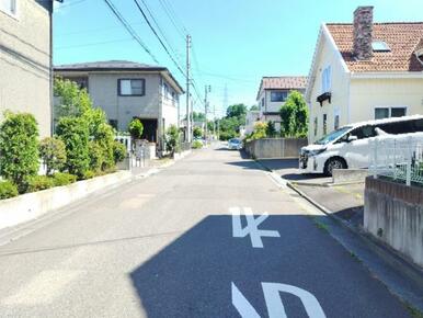前面道路の様子（南から）